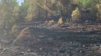 MUĞLA KÖYCEĞİZ YANGINI KONTROL ALTINA ALINDI