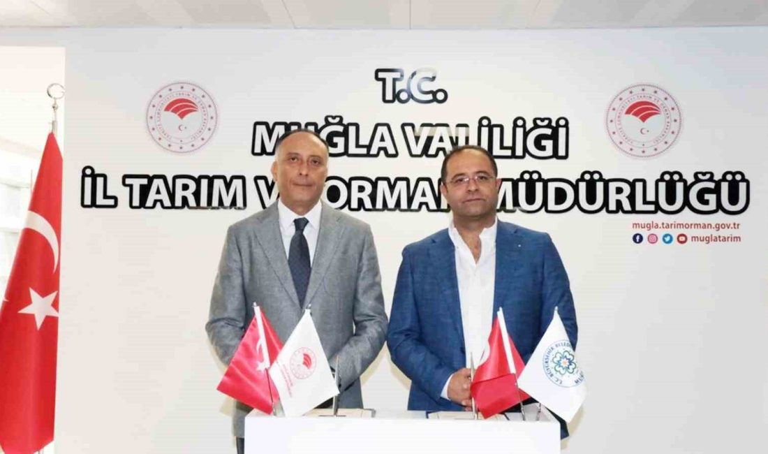 MUĞLA'DA SÜRDÜRÜLEBİLİR KIRSAL KALKINMANIN SAĞLANMASI AMACIYLA, MUĞLA BÜYÜKŞEHİR BELEDİYESİ İLE