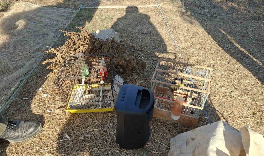 MUĞLA'DA KAÇAK AVCILIK YAPAN KİŞİYE PARA CEZASI KESİLDİ, YAKALANAN SAKA