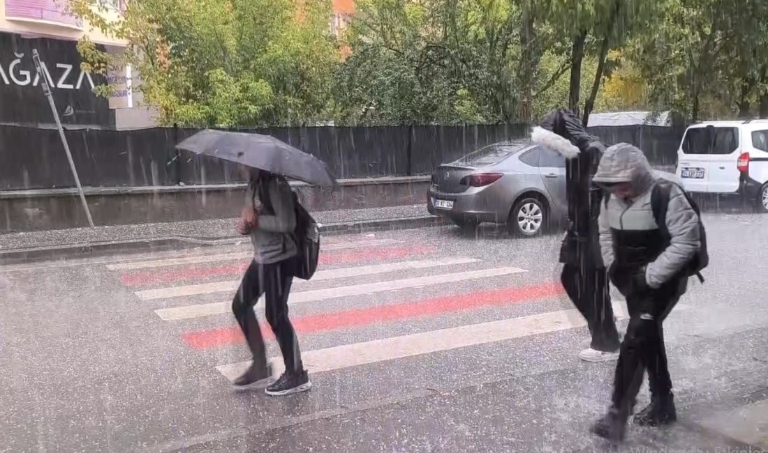 MUŞ’TA ETKİLİ OLAN DOLU VE SAĞANAK YAĞIŞI HAYATI OLUMSUZ ETKİLERKEN