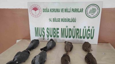 MUŞ DOĞA KORUMA VE MİLLİ PARKLAR ŞUBE MÜDÜRLÜĞÜ VE JANDARMA