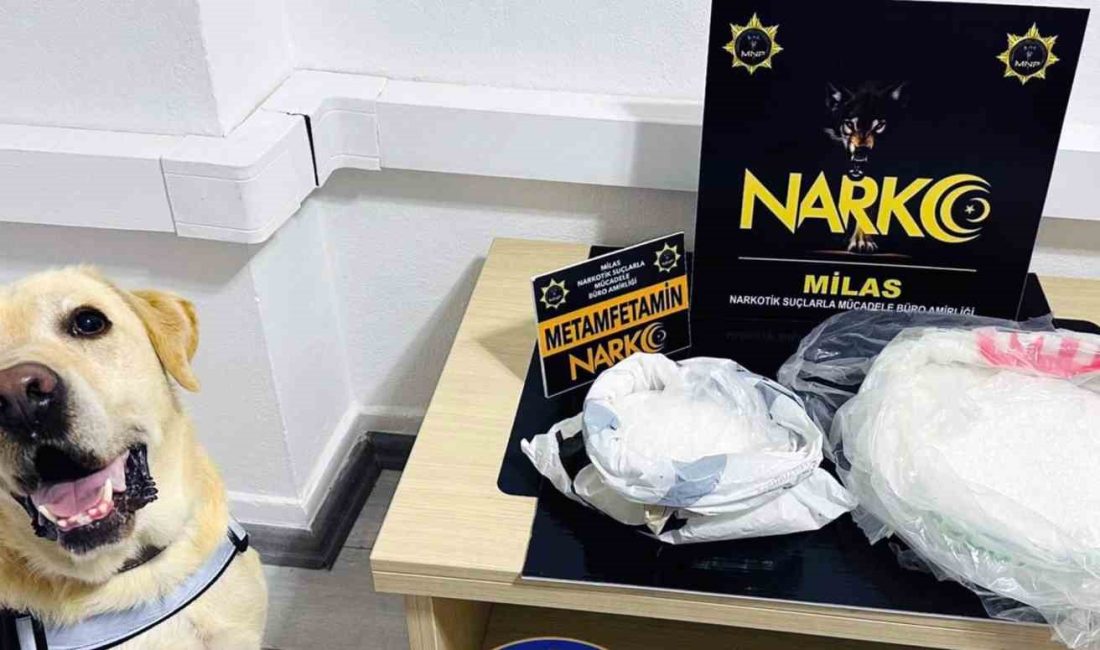 MUĞLA EMNİYET MÜDÜRLÜĞÜ KOM VE NARKO EKİPLERİ VE NARKOTİK KÖPEĞİ