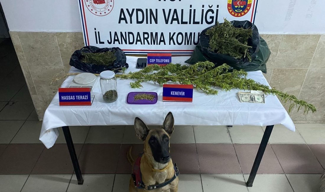 AYDIN'IN NAZİLLİ İLÇESİNDE JANDARMA EKİPLERİ TARAFINDAN YAPILAN UYUŞTURUCU OPERASYONU KAPSAMINDA