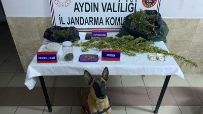 AYDIN'IN NAZİLLİ İLÇESİNDE JANDARMA EKİPLERİ TARAFINDAN YAPILAN UYUŞTURUCU OPERASYONU KAPSAMINDA