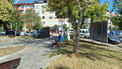 NAZİLLİ’DE YEŞİL ALAN ÇALIŞMALARINA HIZ VERİLDİ