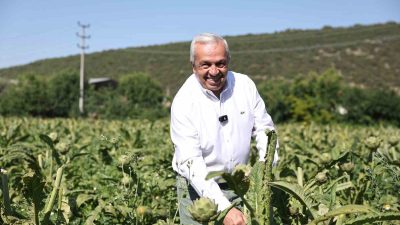 Nilüfer Belediyesi, 3 gün sürecek Tarımsal Kalkınma ve Kooperatifçilik Çalıştayı’na