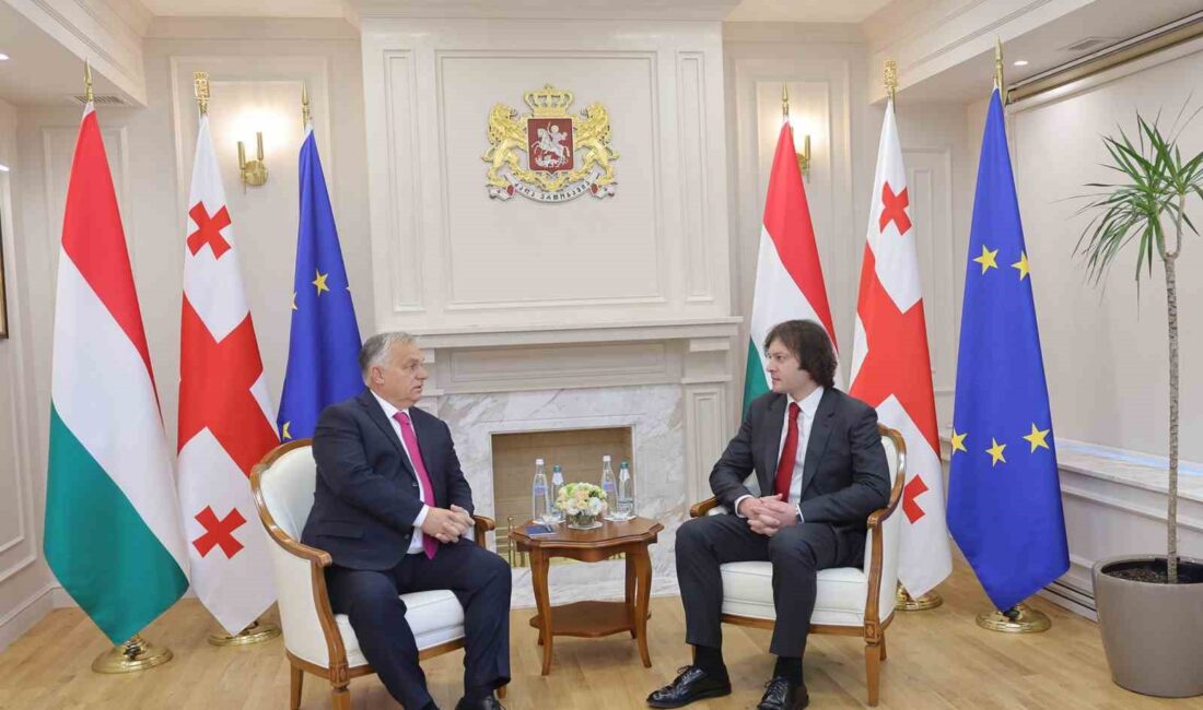 MACARİSTAN BAŞBAKANI VİKTOR ORBAN, GÜRCİSTAN'I ZİYARET EDEREK RUSYA YANLISI OLMAKLA