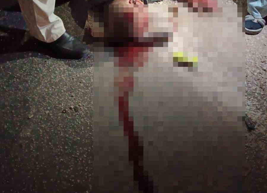 GÜNYÜZÜ İLÇESİNDE TRAFİK KAZASI, 1 YARALI