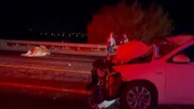 ELAZIĞ’DA OTOMOBİLİN İNEĞE ÇARPMASI SONUCU MEYDANA GELEN KAZADA, 2 KİŞİ