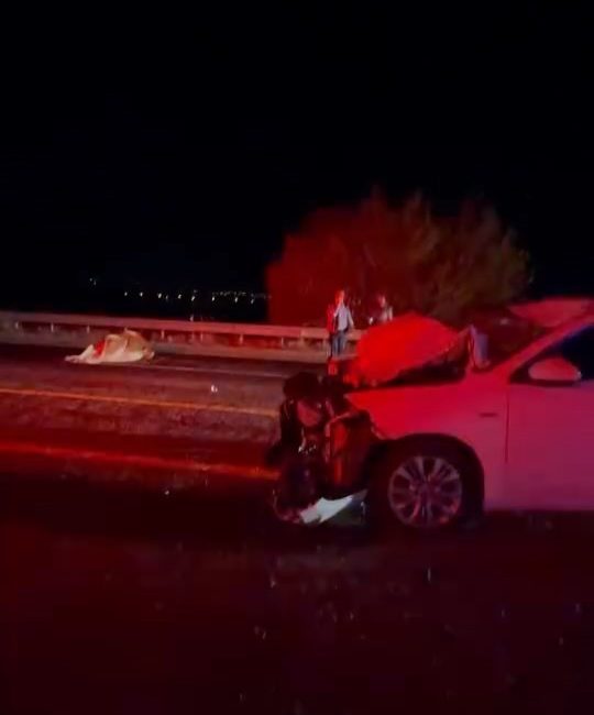 ELAZIĞ’DA OTOMOBİLİN İNEĞE ÇARPMASI SONUCU MEYDANA GELEN KAZADA, 2 KİŞİ