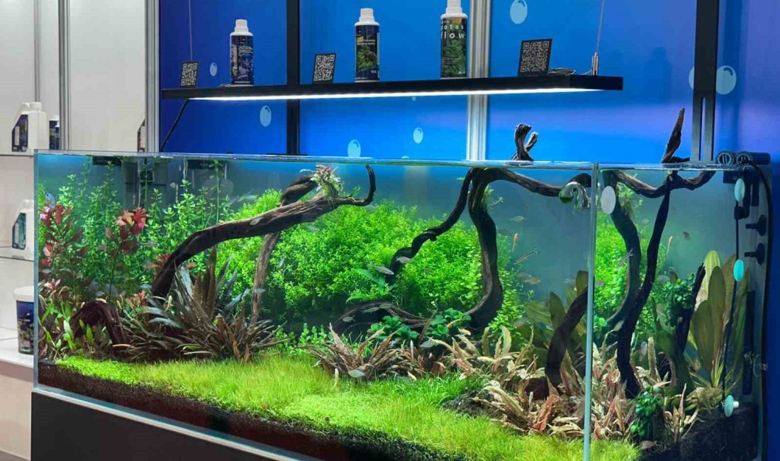 ULUSLARARASI EVCİL HAYVAN, ÜRÜN, MALZEME VE AKSESUAR TEDARİKÇİLERİ FUARI (PETZOO),