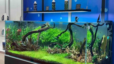 ULUSLARARASI EVCİL HAYVAN, ÜRÜN, MALZEME VE AKSESUAR TEDARİKÇİLERİ FUARI (PETZOO),