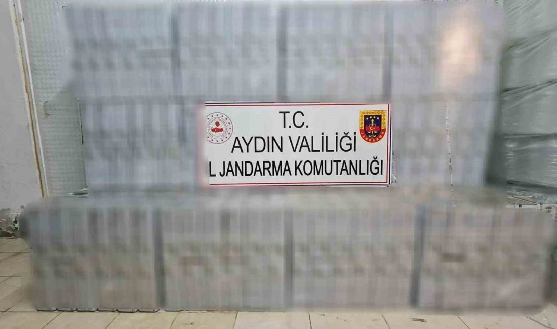 AYDIN'IN KÖŞK İLÇESİNDE JANDARMA EKİPLERİ TARAFINDAN GERÇEKLEŞTİRİLEN OPERASYON KAPSAMINDA PİYASA