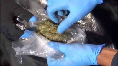 TOKAT EMNİYET MÜDÜRLÜĞÜ NARKOTİK SUÇLARLA MÜCADELE VE İSTİHBARAT ŞUBE MÜDÜRLÜKLERİ