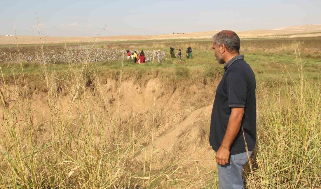 ŞANLIURFA'FA HARRAN OVASI'NDA OLUŞAN 15 METRE DERİNLİĞİNDEKİ DEV OBRUKLAR ÇİFTÇİLERİ