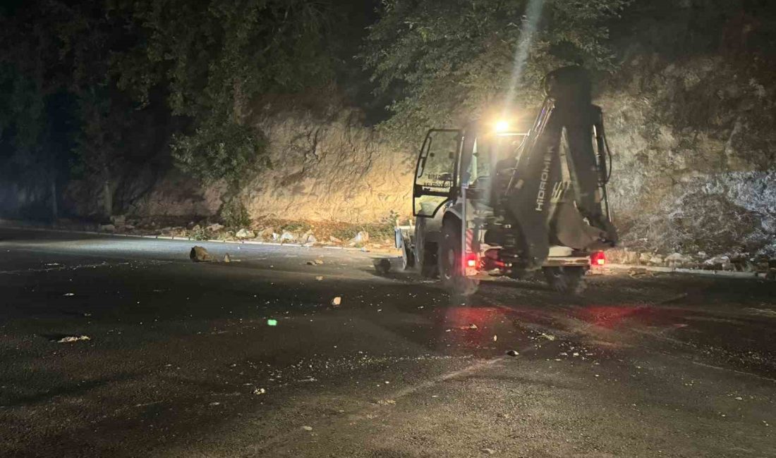 DAHA ÖNCE İKİ HEYELANIN YAŞANDIĞI BÖLGEDEKİ DAĞDAN KOPAN TAŞLAR PANİĞE