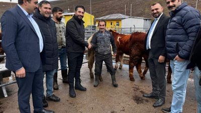 SARIKAMIŞ BELEDİYE BAŞKANI SERDAR KILIÇ, HAYVAN PAZARINDA İNCELEMELERDE BULUNDU(KARS-İHA)