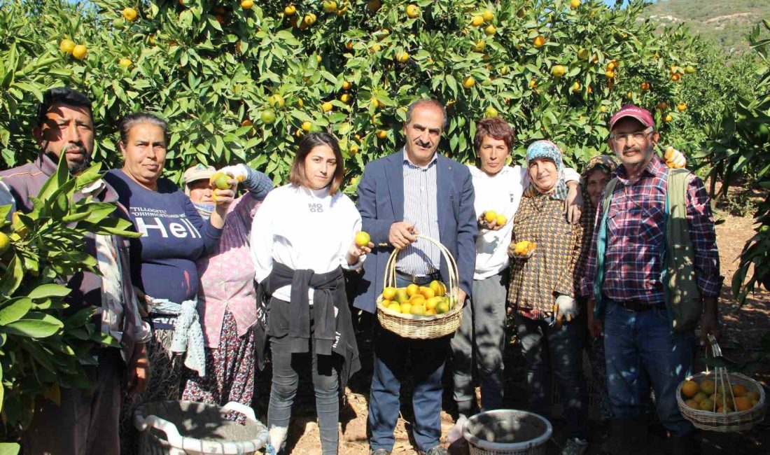 EGE YAŞ MEYVE SEBZE İHRACATÇILARI BİRLİĞİ YÖNETİM KURULU BAŞKANI HAYRETTİN