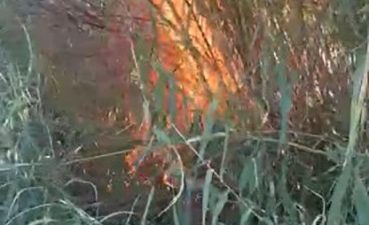 ANTALYA’NIN SERİK İLÇESİNDE KARGILIK ALANDA ÇIKAN YANGIN 2 DÖNÜM ALANDA