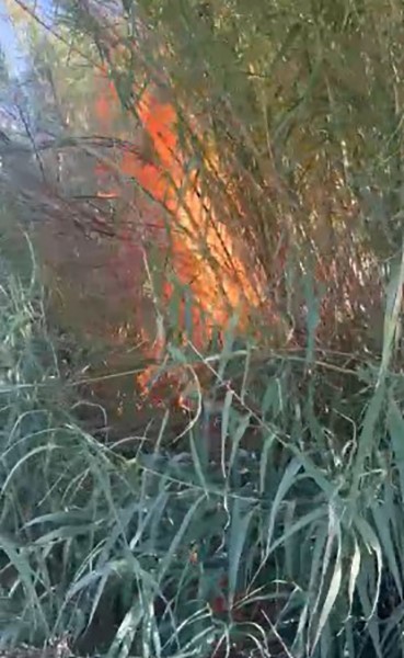 ANTALYA’NIN SERİK İLÇESİNDE KARGILIK ALANDA ÇIKAN YANGIN 2 DÖNÜM ALANDA
