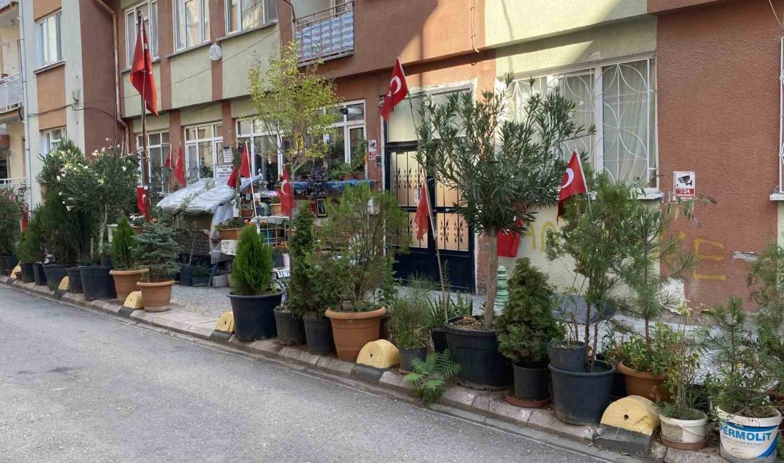 ESKİŞEHİR'DE BİR AİLE TARAFINDAN EVLERİNİN ÖNÜNDE OLUŞTURULAN 'SEVGİLİLER AŞIKLAR PARK'I