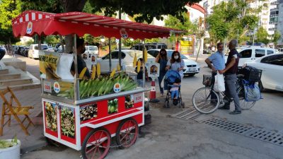 SEYHAN İLÇESİNDE BAŞIBOŞ DOLAŞAN VE DÜZENSİZ DAĞILIMLA KALDIRIMLARI İŞGAL EDEN