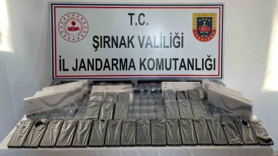 ŞIRNAK İL JANDARMA KOMUTANLIĞI'NA BAĞLI EKİPLER İDİL, CİZRE, SİLOPİ VE