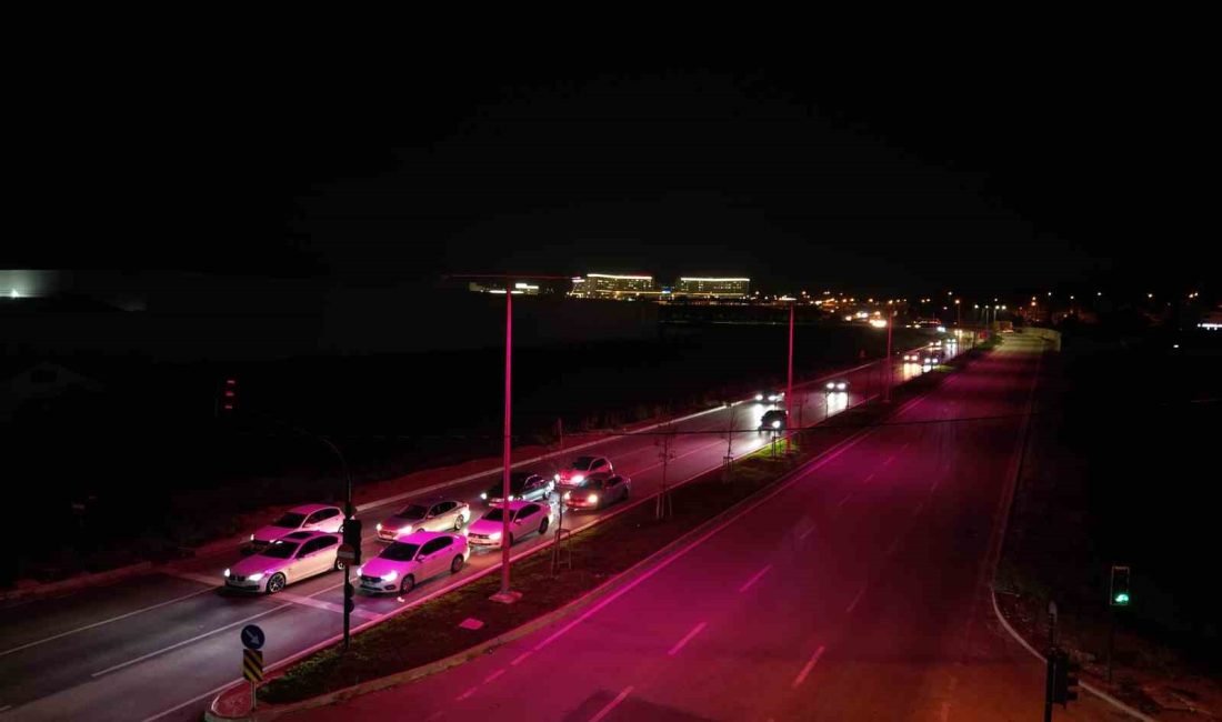 UEDAŞ’IN PEMBE LAMBALAR PROJESİ İLE ERKEN TEŞHİSİN HAYAT KURTARICI ROLÜNE
