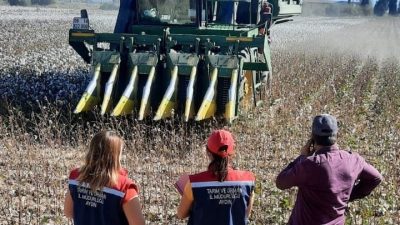 AYDIN'IN SÖKE İLÇESİNDE SÖKE İLÇE TARIM VE ORMAN MÜDÜRLÜĞÜ YETKİLİ