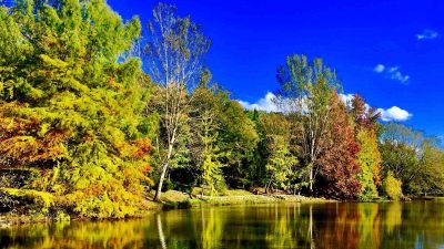 TÜRKİYE'DE SONBAHAR MEVSİMİNİN EN İHTİŞAMLI YAŞANDIĞI ŞEHİRLERDEN BİRİSİ OLAN ERZİNCAN’IN