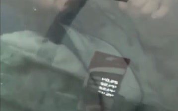 İZMİR'İN ÇİĞLİ İLÇESİNDE BİR OTOMOBİL İÇERİSİNDE BULUNAN KİŞİNİN SOKAK KÖPEĞİNE