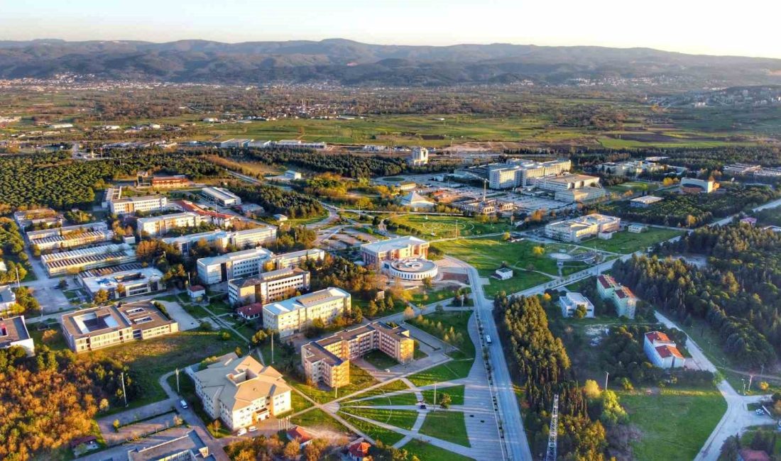 ÖĞRENCİ SEÇME VE YERLEŞTİRME MERKEZİ (ÖSYM), 2024 YKS PUANLARINA GÖRE