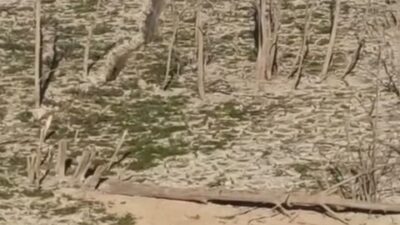 SULARI ÇEKİLEN GÖLETTE BATAKLIĞA SAPLANAN ÇOCUK KURTARILDI