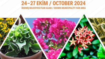 TÜRKİYE'DE İÇ VE DIŞ MEKAN SÜS BİTKİLERİ İLE FİDAN ÜRETİMİ