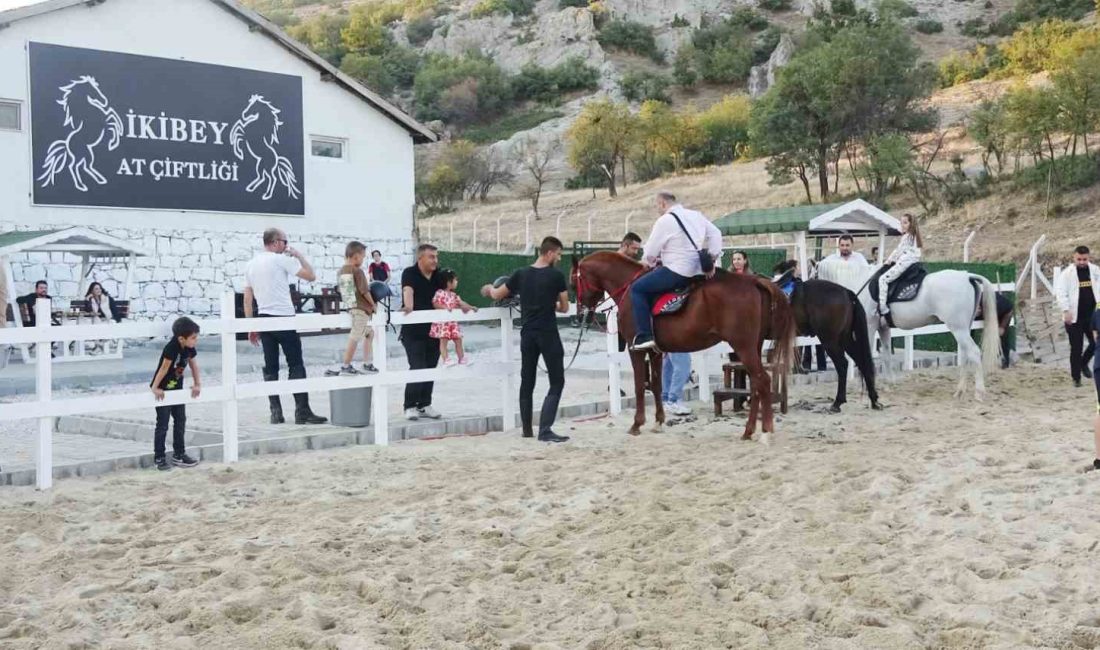 TAVŞANLI İLÇESİNDE AT SEVERLER İÇİN YEPYENİ BİR YAŞAM ALANI EKLENDİ