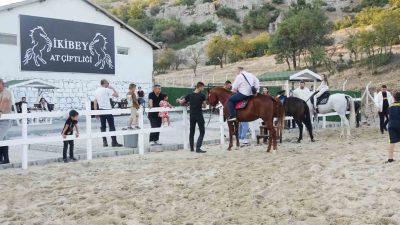 TAVŞANLI İLÇESİNDE AT SEVERLER İÇİN YEPYENİ BİR YAŞAM ALANI EKLENDİ