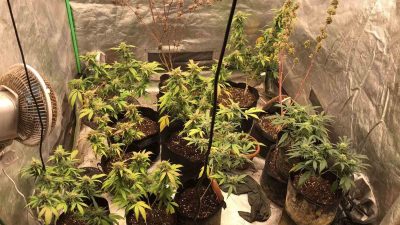 TUZLA'DA YAPILAN OPERASYONDA “TEHDİT VE HAKARET” SUÇUNDAN ARANAN FİRARİ UYUŞTURUCU