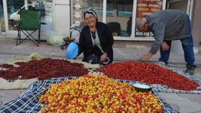 TERCAN DAĞLARINDA YETİŞEN YABAN MEYVELERİ PAZAR TEZGAHLARINI SÜSLÜYOR