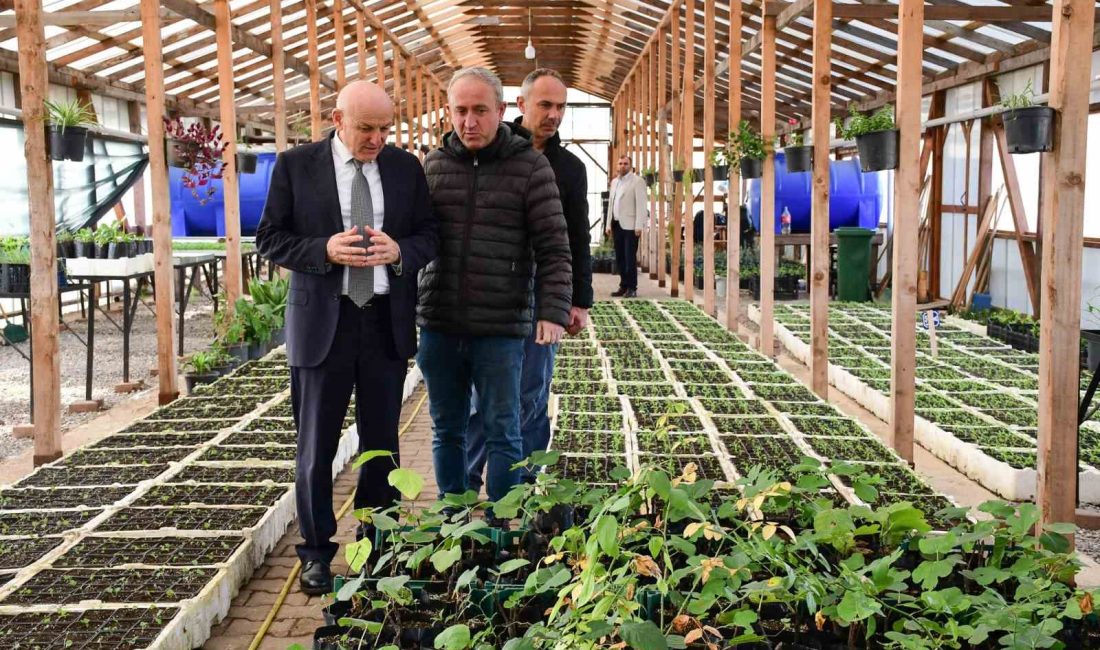 TERME BELEDİYESİ PARK VE BAHÇELER MÜDÜRLÜĞÜNE BAĞLI FİDE VE BİTKİ