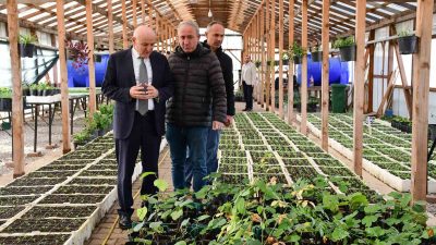 TERME BELEDİYESİ PARK VE BAHÇELER MÜDÜRLÜĞÜNE BAĞLI FİDE VE BİTKİ