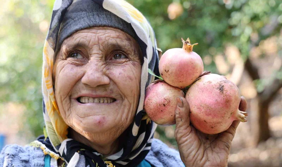 ADANA’NIN KOZAN İLÇESİNDE COĞRAFİ İŞARET İLE LEZZETİ TESCİLLENEN KUYTUCAK NARINDA