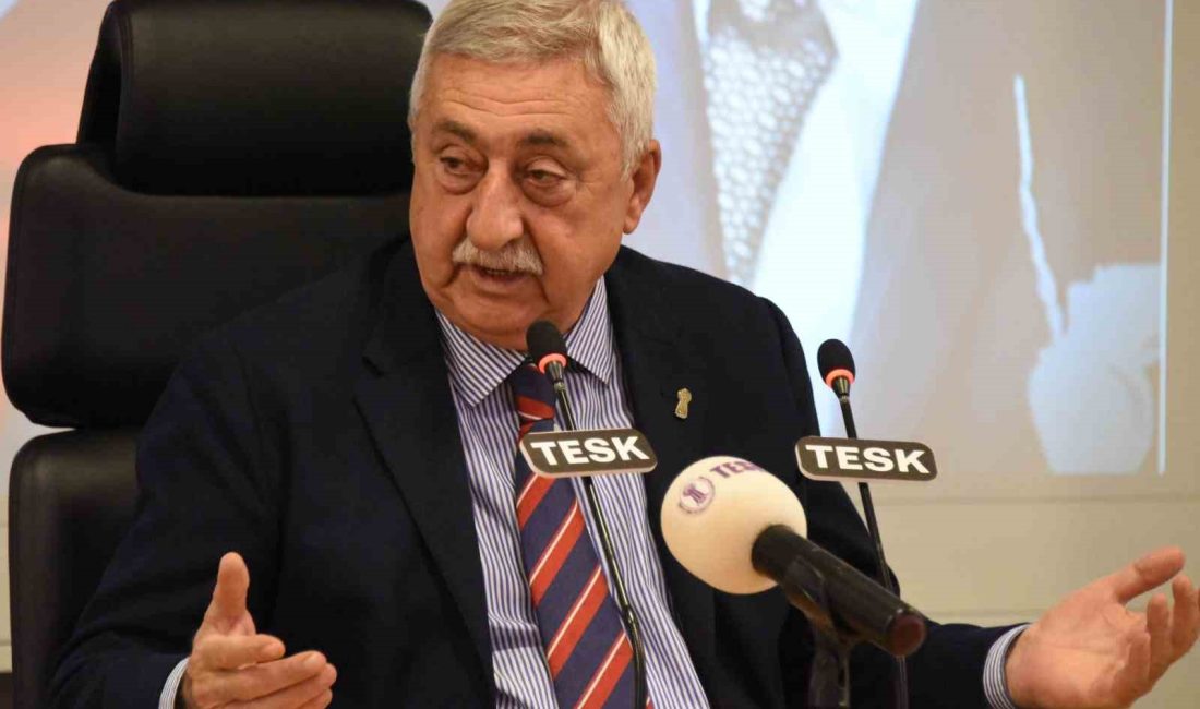 TESK GENEL BAŞKANI BENDEVİ PALANDÖKEN, "MALİYE BAKANLIĞININ KARARI KAPSAMINDA EKONOMİNİN