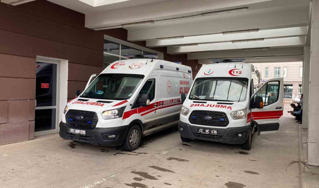 ADIYAMAN’DA, TIP OKUYAN 24 YAŞLARINDAKİ GENÇ KIZ İLCA İÇEREK CANINA