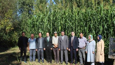 TOKAT’IN PAZAR İLÇESİNDE YAŞAYAN BİR ÇİFTÇİ, KENTTE İLK KEZ DENENEN