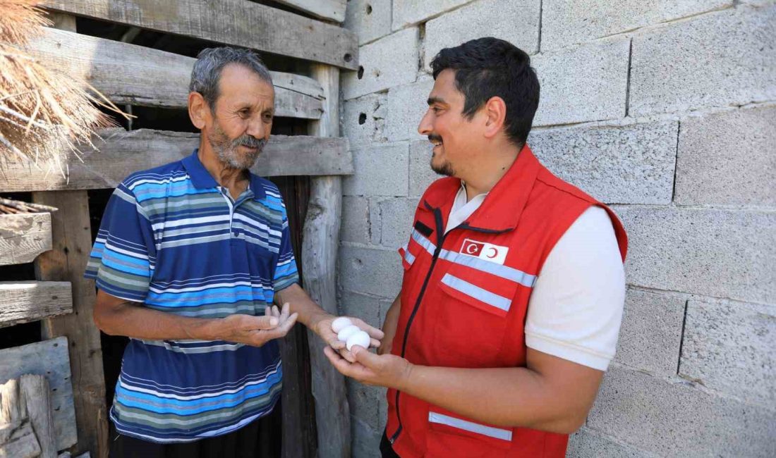 TÜRK KIZILAY, DEPREM BÖLGESİNDE TARIM VE HAYVANCILIĞIN CANLANMASINA DESTEK OLMAK