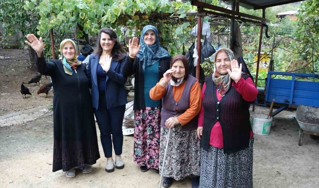 ATAKUM BELEDİYESİ KIRSAL HİZMETLER MÜDÜRLÜĞÜ EKİPLERİ, KENT SINIRLARI İÇERİSİNDE GEÇİMİNİ