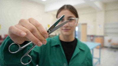 SAMSUN'DA 2018 YILINDA CERRAHİ EL ALETİ ÜRETEN FİRMALARIN İSTEKLERİ DOĞRULTUSUNDA