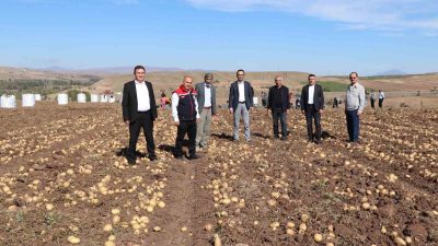 TÜRKİYE’DE YEMEKLİK VE TOHUMLUK PATATES ÜRETİMİNDE İLK SIRALARDA YER ALAN