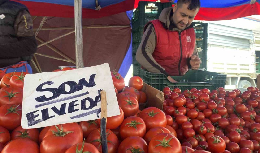 ESKİŞEHİR'DE SATIŞA SUNULAN SON DOMATESLER İÇİN PAZARCI ESNAFA TEZGAHA 'SON