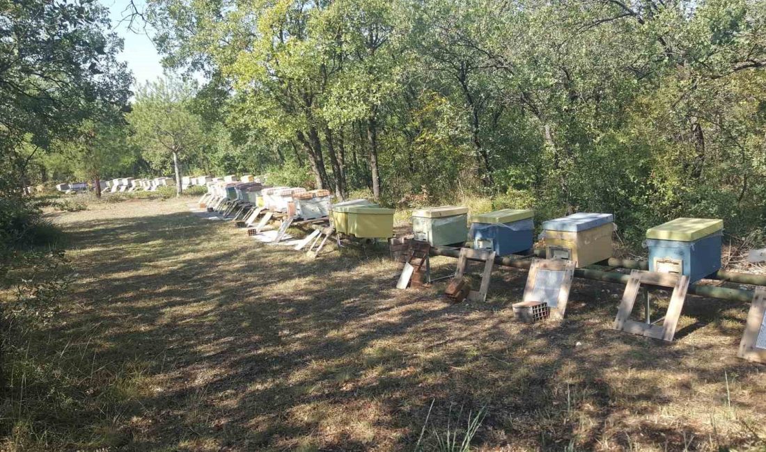 BURSA ULUDAĞ ÜNİVESİTESİ (BUÜ) KAMPÜSÜNDE 30 HAZİRAN’DA MEYDANA GELEN BÜYÜK